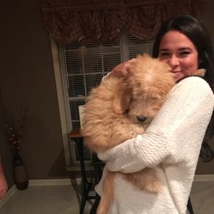 Meet your Posher, Morgan